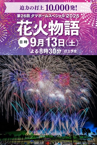 タマ花火HPプラン