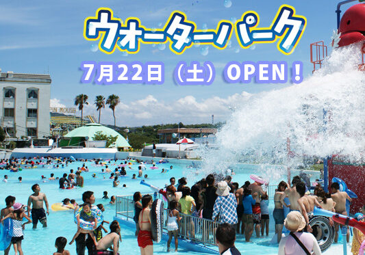 2023pool-2