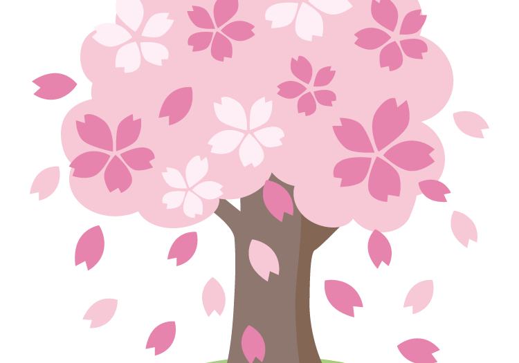 sakura_wood_fubuki_6765
