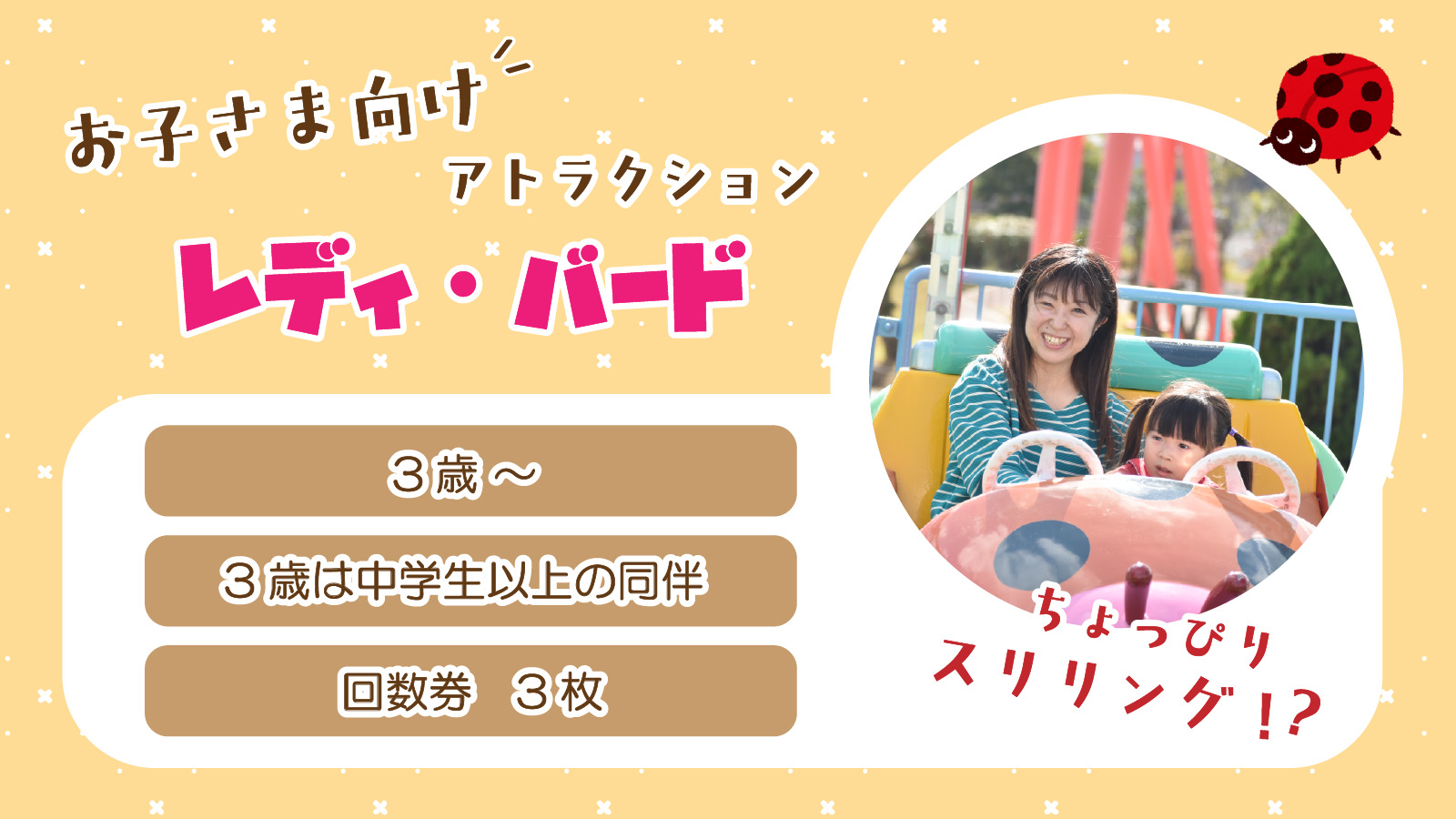 レディバード